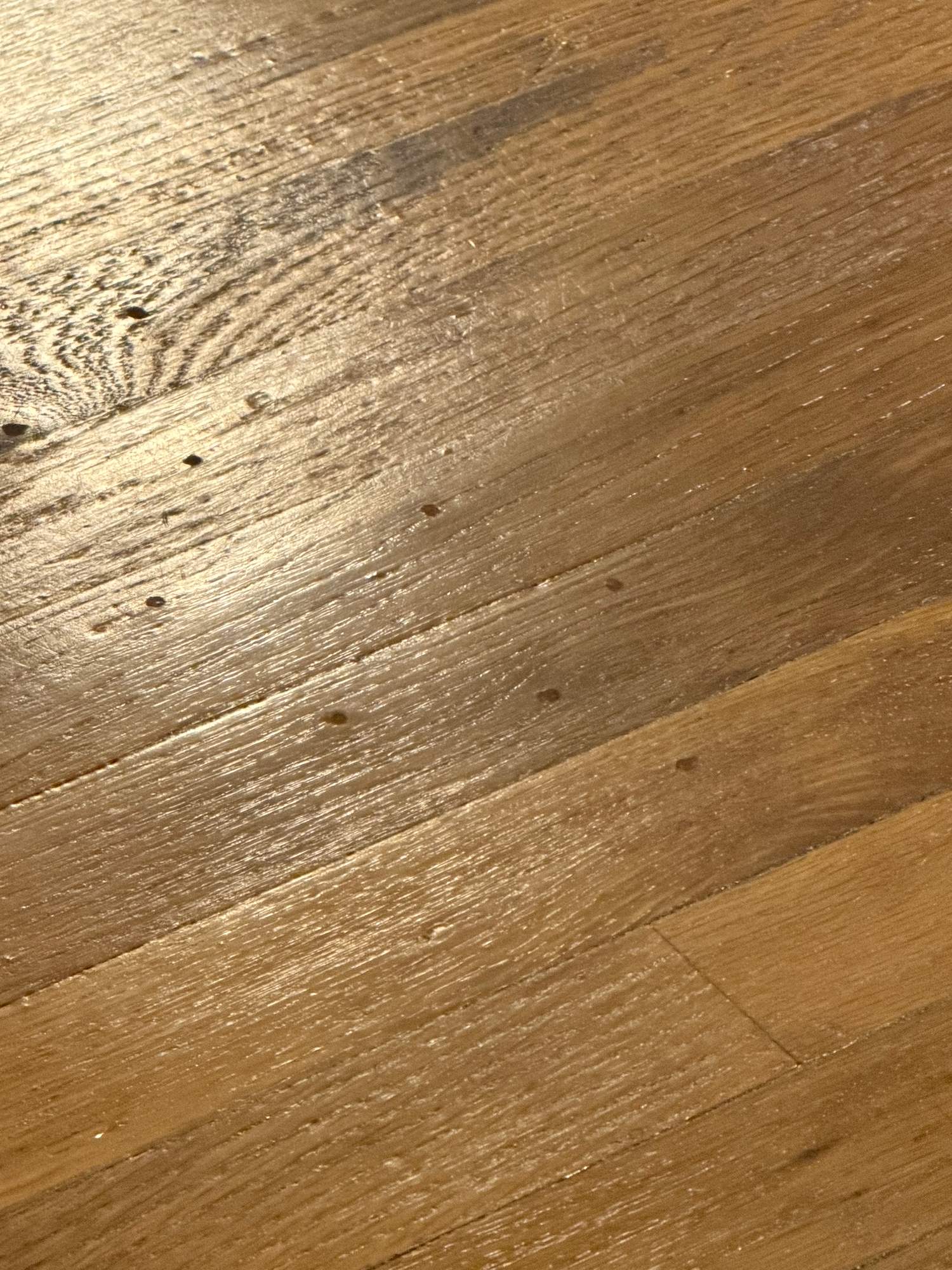 You are currently viewing Can you Fix Squeaky Wood Floors? Yes!